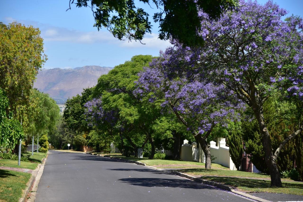 Yebo Boutique Guesthouse Somerset West Exterior photo